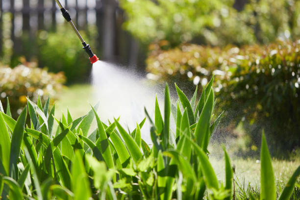 24/7 Emergency Mosquito Control experts in Okarche, OK